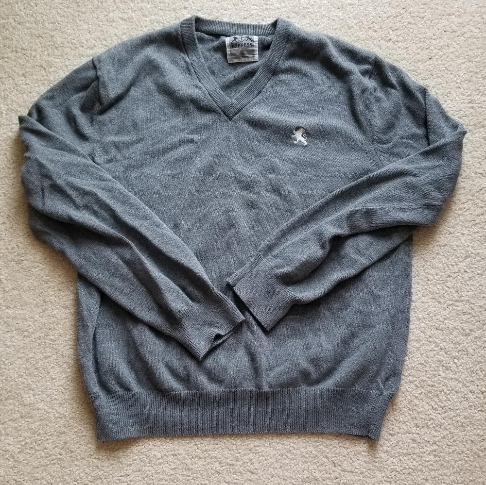 Express men's sweater